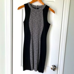 Form Fitting Dress from H&M.